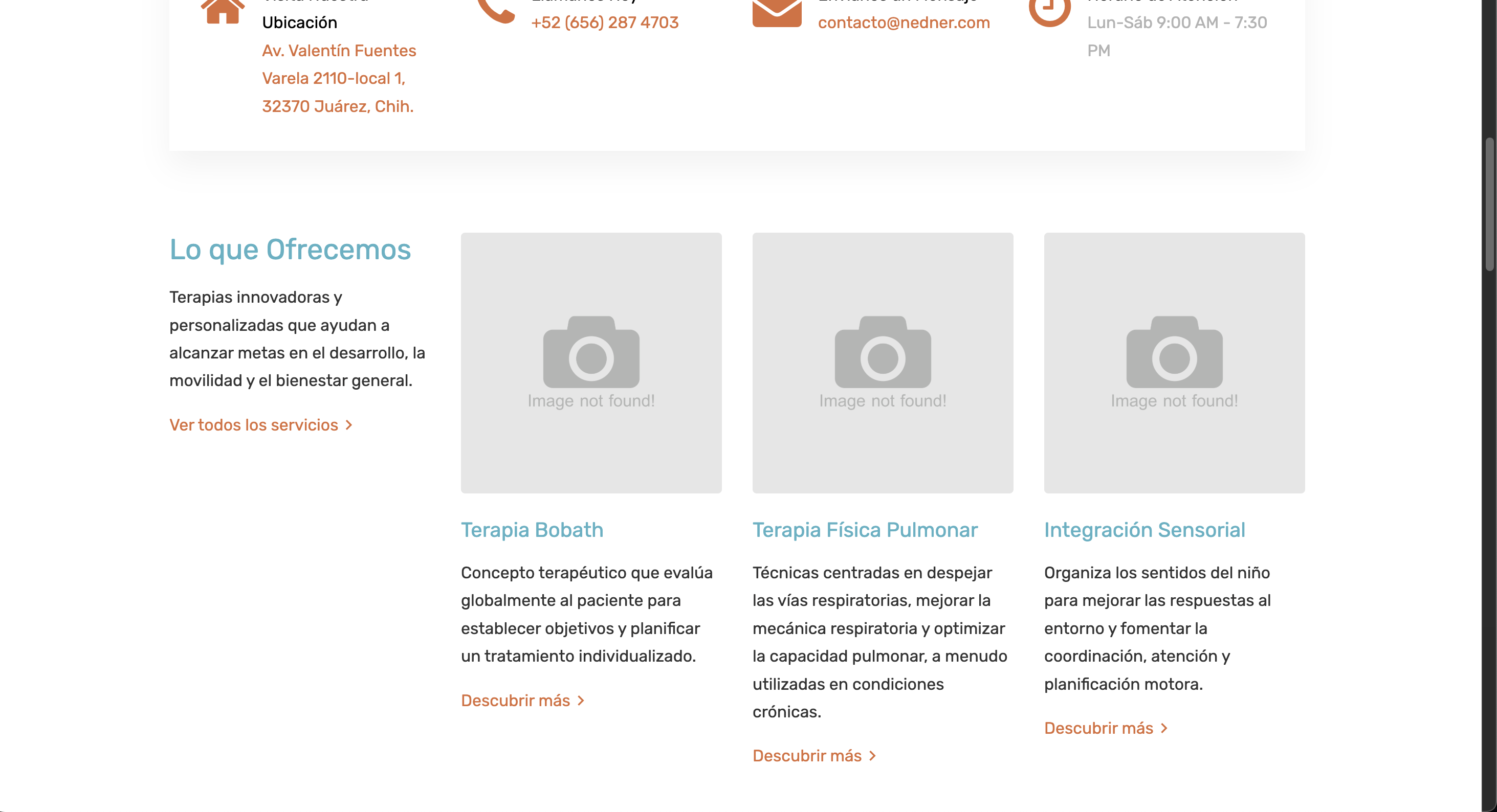 NedNer Therapy — 2